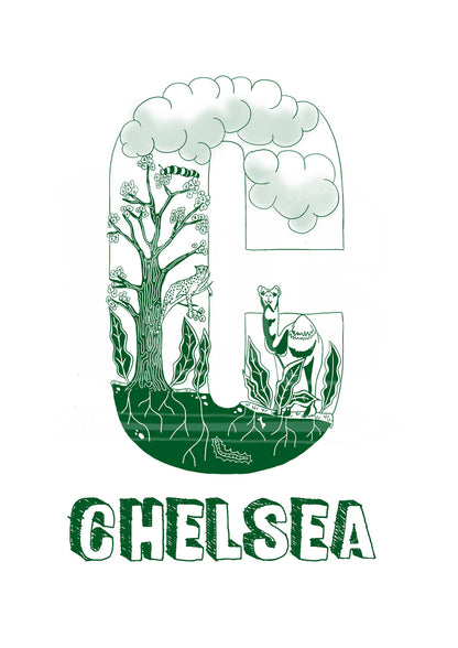 C - SINGLE LETTER & NAME