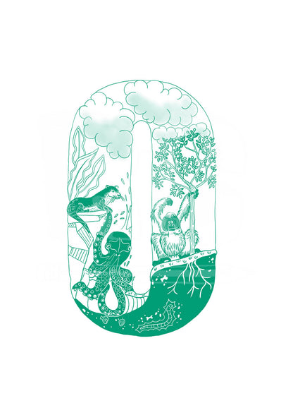 O - SINGLE LETTER
