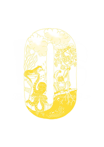 O - SINGLE LETTER