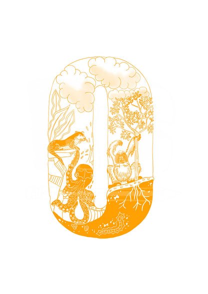 O - SINGLE LETTER