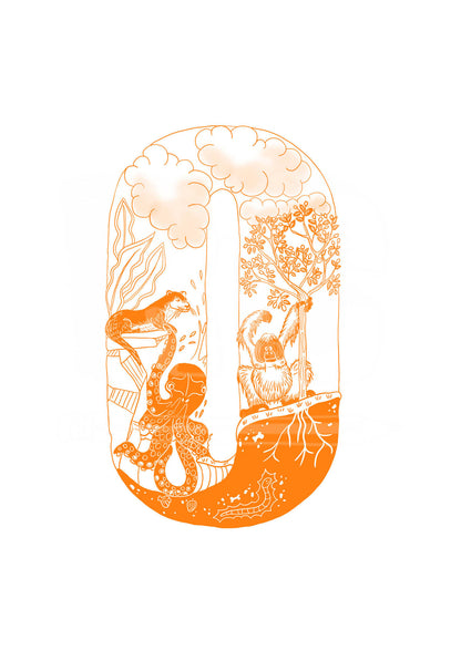 O - SINGLE LETTER