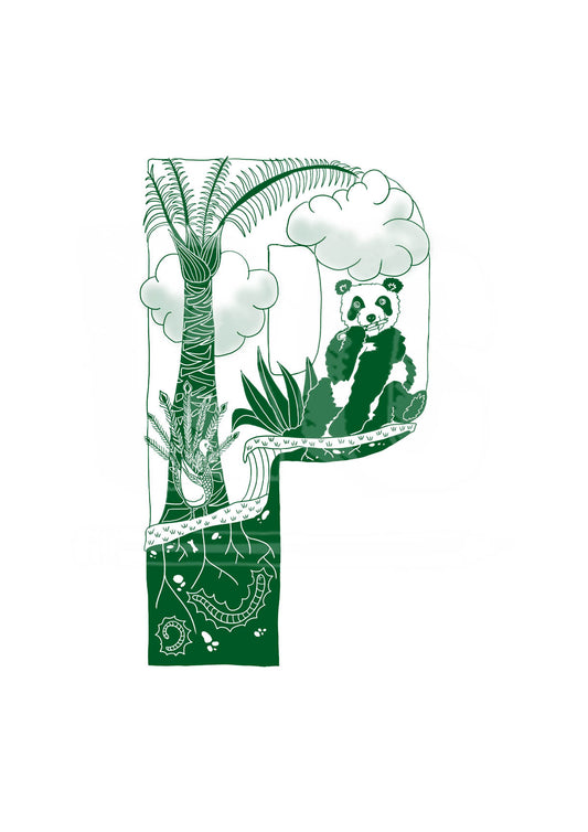 P - SINGLE LETTER