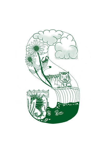 S - SINGLE LETTER