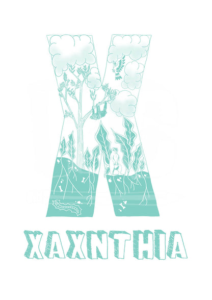 X - SINGLE LETTER & NAME