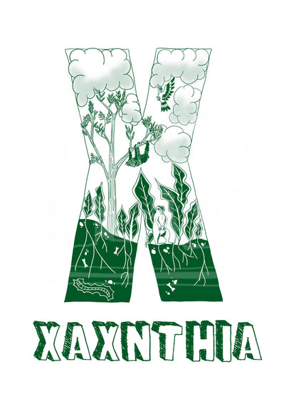X - SINGLE LETTER & NAME