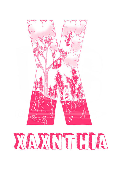 X - SINGLE LETTER & NAME