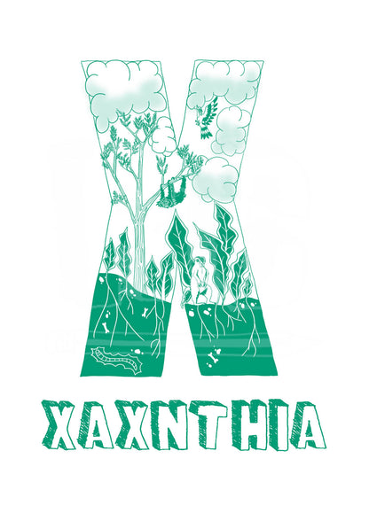 X - SINGLE LETTER & NAME