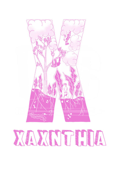X - SINGLE LETTER & NAME