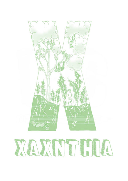 X - SINGLE LETTER & NAME