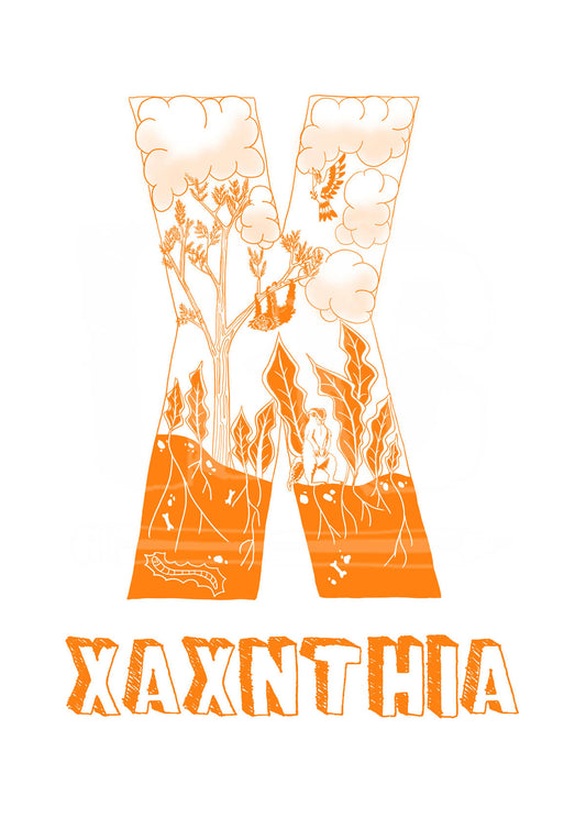 X - SINGLE LETTER & NAME