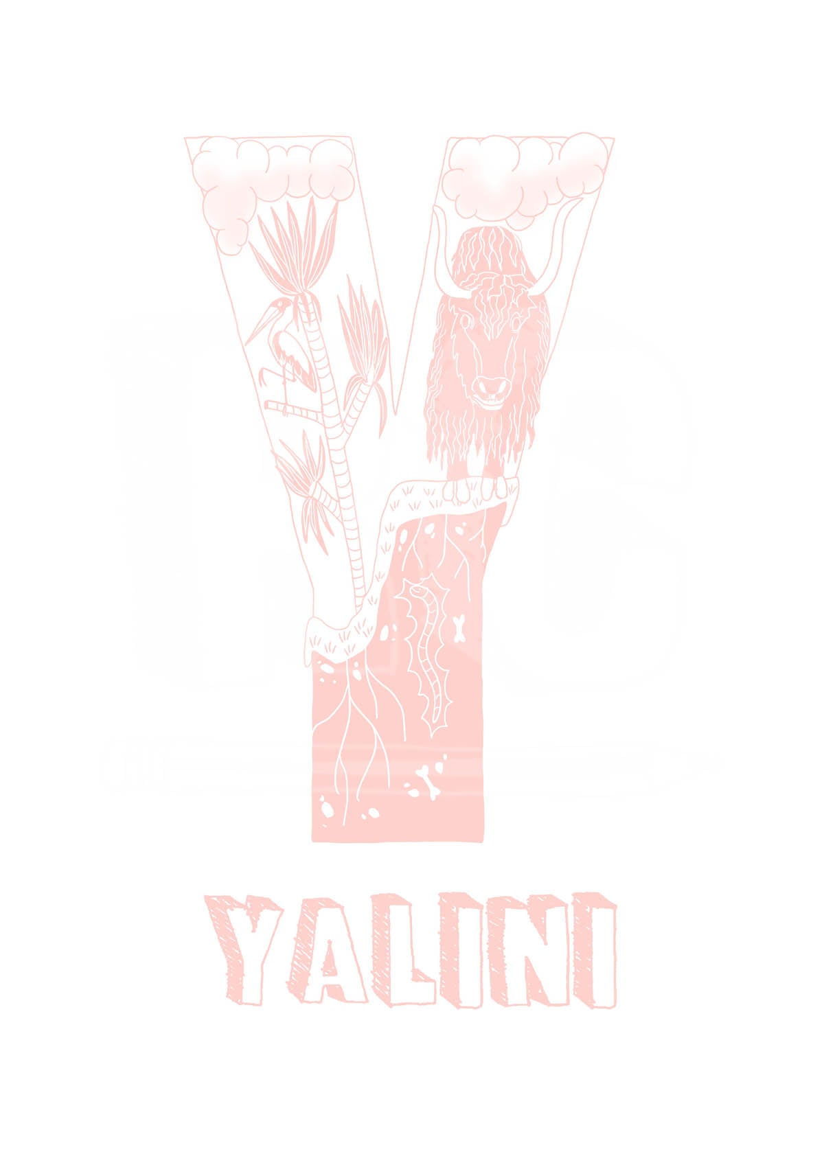 Y - SINGLE LETTER & NAME