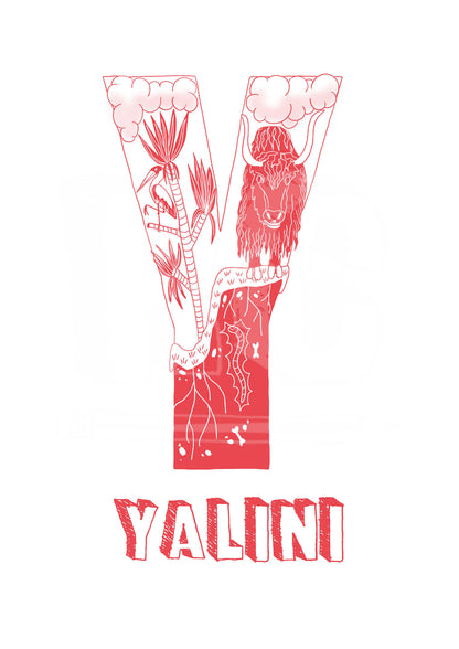 Y - SINGLE LETTER & NAME