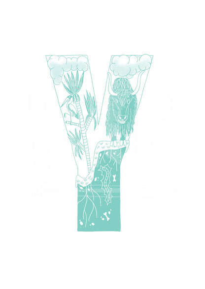 Y - SINGLE LETTER