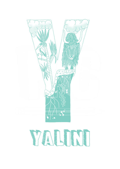 Y - SINGLE LETTER & NAME