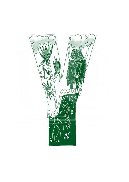 Y - SINGLE LETTER