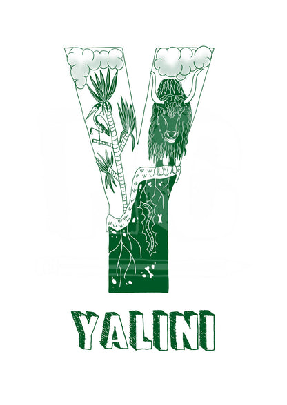 Y - SINGLE LETTER & NAME