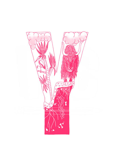 Y - SINGLE LETTER