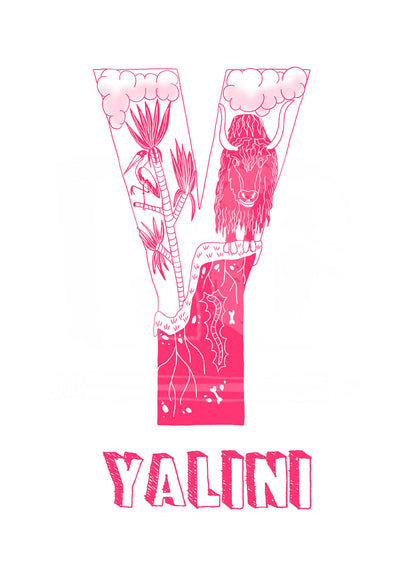 Y - SINGLE LETTER & NAME