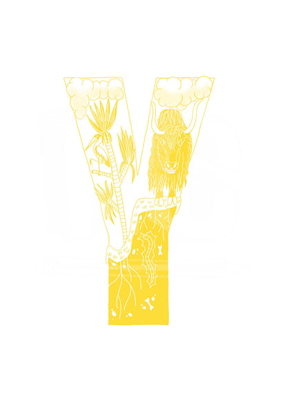 Y - SINGLE LETTER