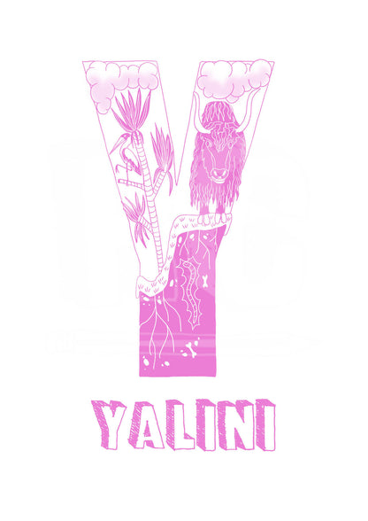 Y - SINGLE LETTER & NAME