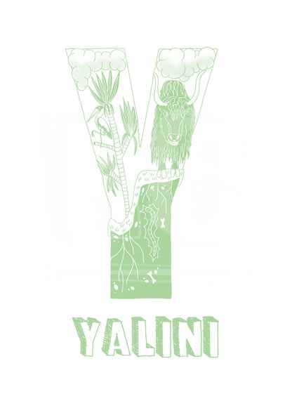 Y - SINGLE LETTER & NAME