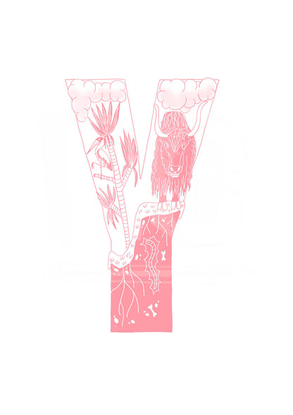 Y - SINGLE LETTER