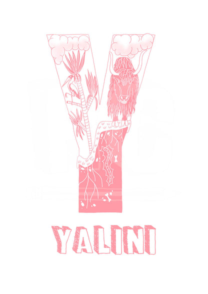 Y - SINGLE LETTER & NAME