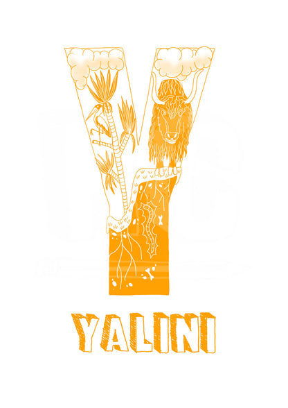 Y - SINGLE LETTER & NAME
